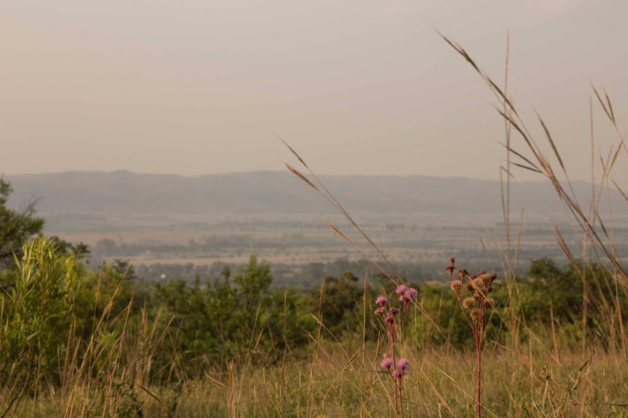 Remhoogte Mountain Lodge Jacksonstuin Zewnętrze zdjęcie