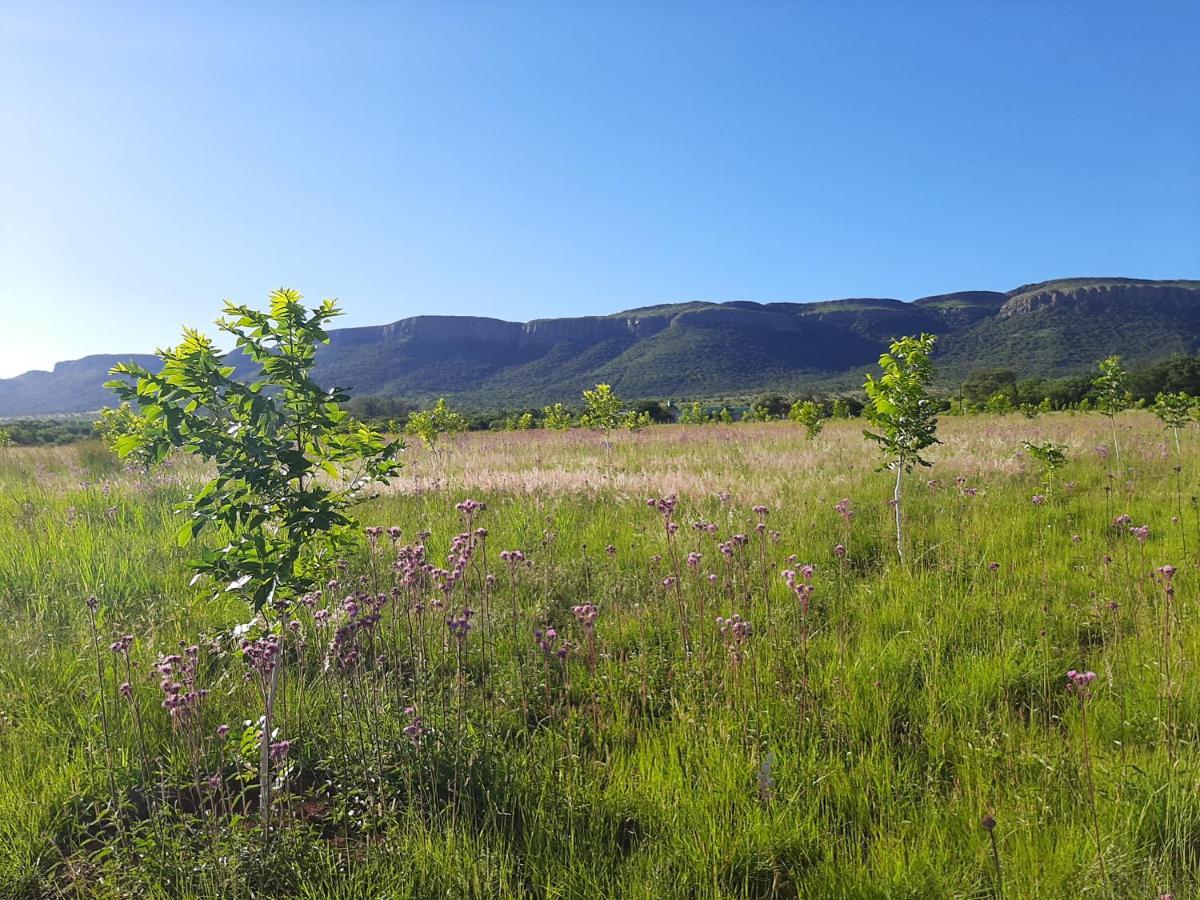 Remhoogte Mountain Lodge Jacksonstuin Zewnętrze zdjęcie